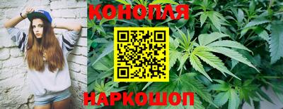 шишки Рыбинск