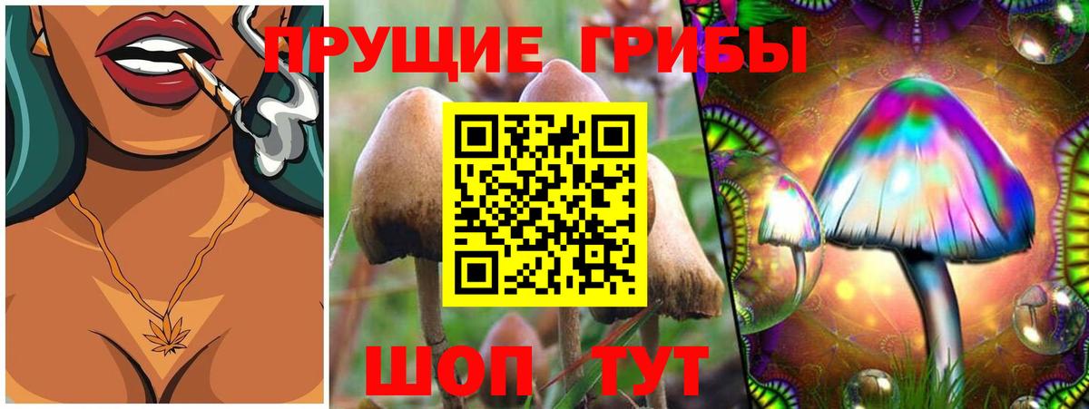 Галлюциногенные грибы Magic Shrooms  Вход с VPN  хочу   Псилоцибиновые грибы ЛСД  Алатырь 