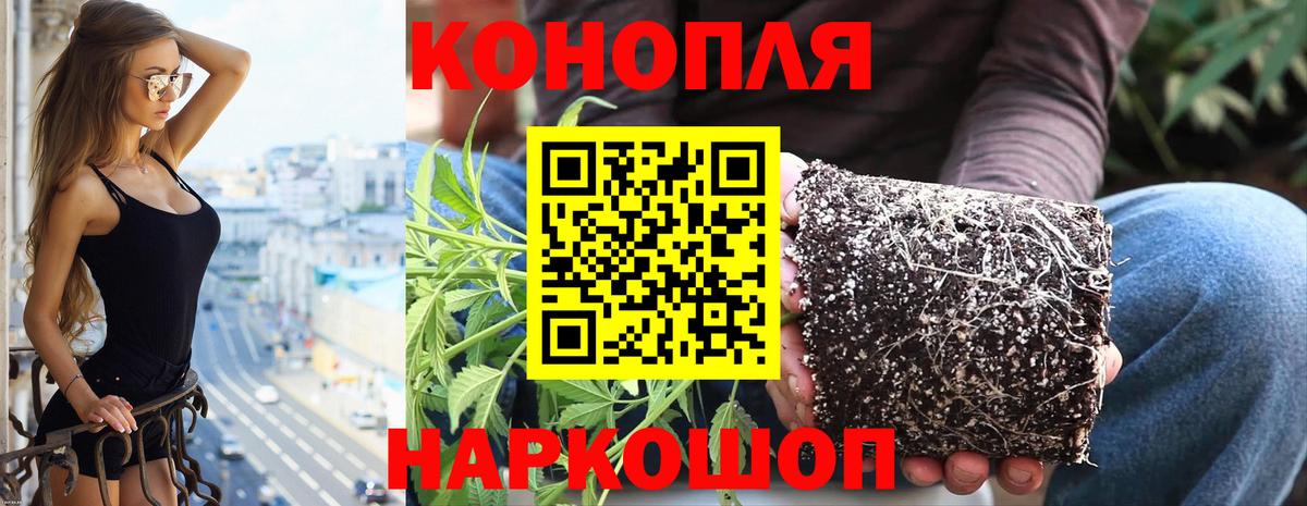 Каннабис марихуана  Бошки марихуана марихуана  Вход с VPN  Алатырь 